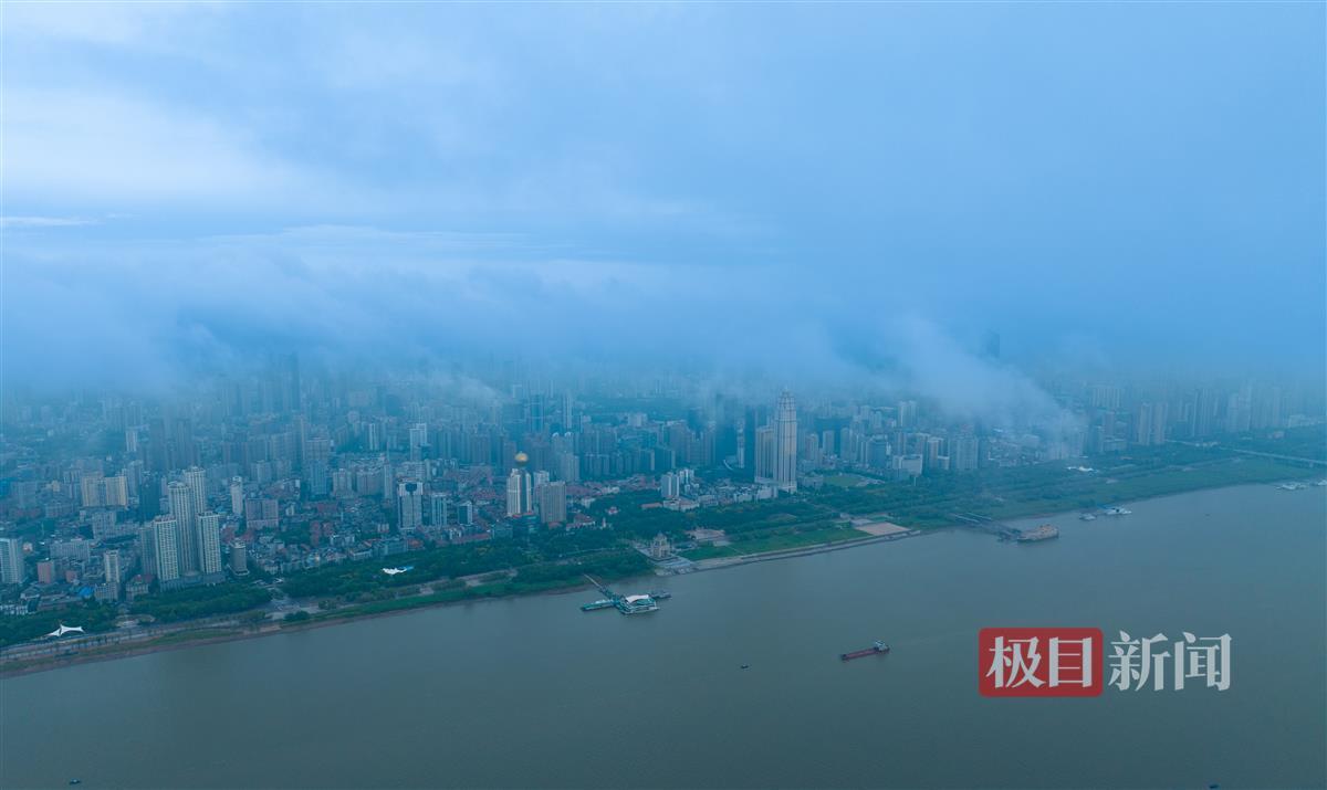 长龙捕鱼